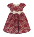 Sweet Kids Baby Girls Burgundy Champagne Floral Lace Occasion Dress 6-24M - SophiasStyle.com