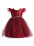 Baby Girls Burgundy Satin Tulle Flutter Sleeve Flower Girl Dress 6-24Months - SophiasStyle.com