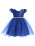 Baby Girls Royal Blue Satin Tulle Flutter Sleeve Flower Girl Dress 6-24Months - SophiasStyle.com