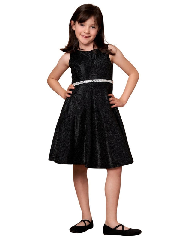 Little Girls Black Glitter Metallic Flower Girl Dress 2-6 - SophiasStyle.com