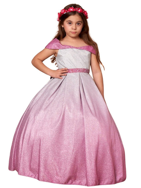 Little Girls Blush Silver Two Tones Gradation Metallic Flower Girl Dress 2-6 - SophiasStyle.com