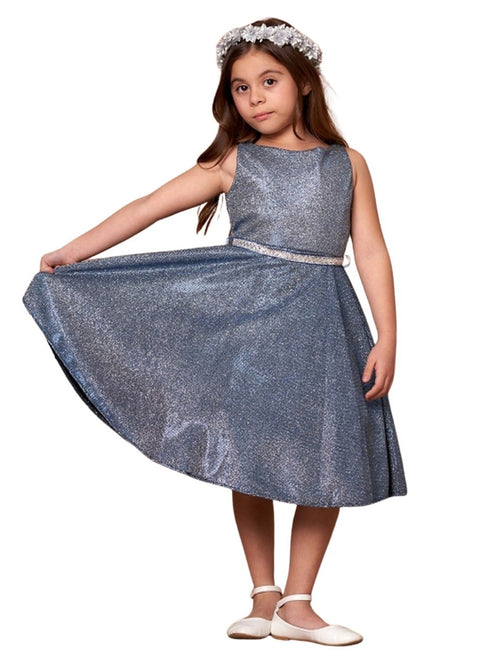 Little Girls Midnight Blue Glitter Metallic Flower Girl Dress 2-6 - SophiasStyle.com