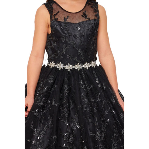 Little Girls Black Glitter Embroidered Rhinestone Belt Ball Gown 2-6 - SophiasStyle.com