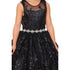 Little Girls Black Glitter Embroidered Rhinestone Belt Ball Gown 2-6 - SophiasStyle.com