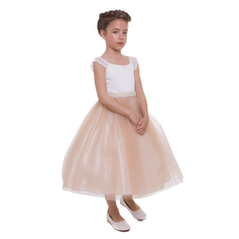 Petite Adele Big Girls Champagne Lace Cap Sleeved Junior Bridesmaid Dress 8-12 - SophiasStyle.com