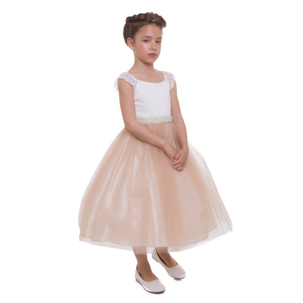 Petite Adele Big Girls Champagne Lace Cap Sleeved Junior Bridesmaid Dress 8-12 - SophiasStyle.com