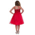 Petite Adele Big Girls Red Sequined Top Tulle Junior Bridesmaid Dress 8-12 - SophiasStyle.com