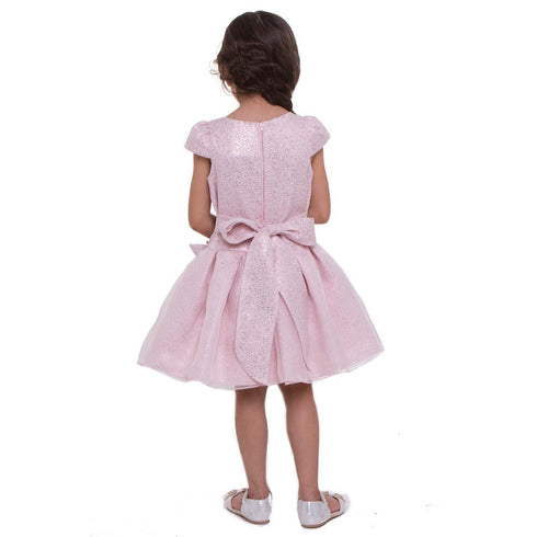 Petite Adele Little Girls Blush Organza Overlay Pleated Flower Girl Dress 2-6 - SophiasStyle.com