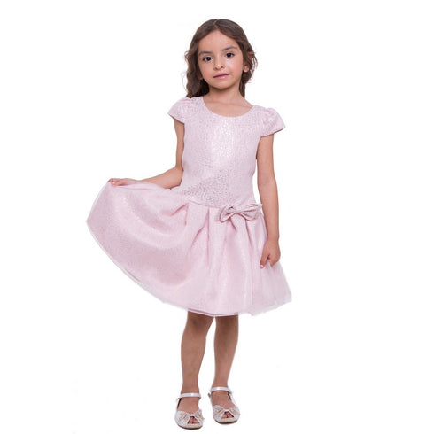 Petite Adele Big Girls Blush Organza Overlay Pleated Flower Girl Dress 8-12 - SophiasStyle.com