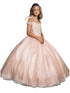 Petite Adele Big Girls Blush Embroidered Bodice Off Shoulder Tulle Gown 8-16 - SophiasStyle.com