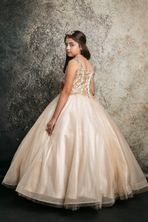 Petite Adele Little Girls Gold Embroidered Bodice Glitter Tulle Gown 2-6 - SophiasStyle.com