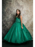 Petite Adele Big Girls Emerald Green Embroidered Bodice Glitter Tulle Gown 8-16 - SophiasStyle.com