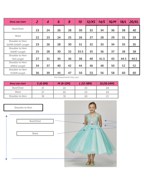 Bliss Little Girls Dusty Rose 3D Floral Applique Flower Girl Dress 2-6 - SophiasStyle.com