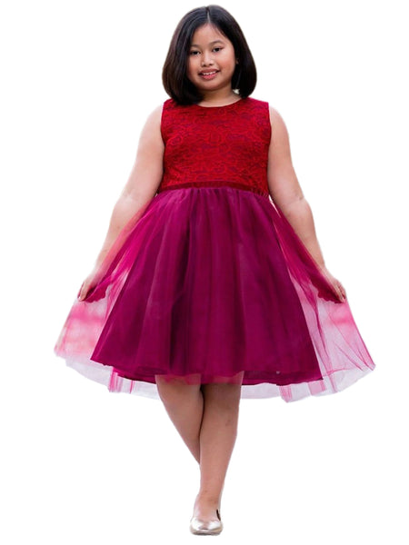 Big Girls Tulle Velvet Trim Junior Bridesmaid Dress Plus Sizes 14.5-20 –